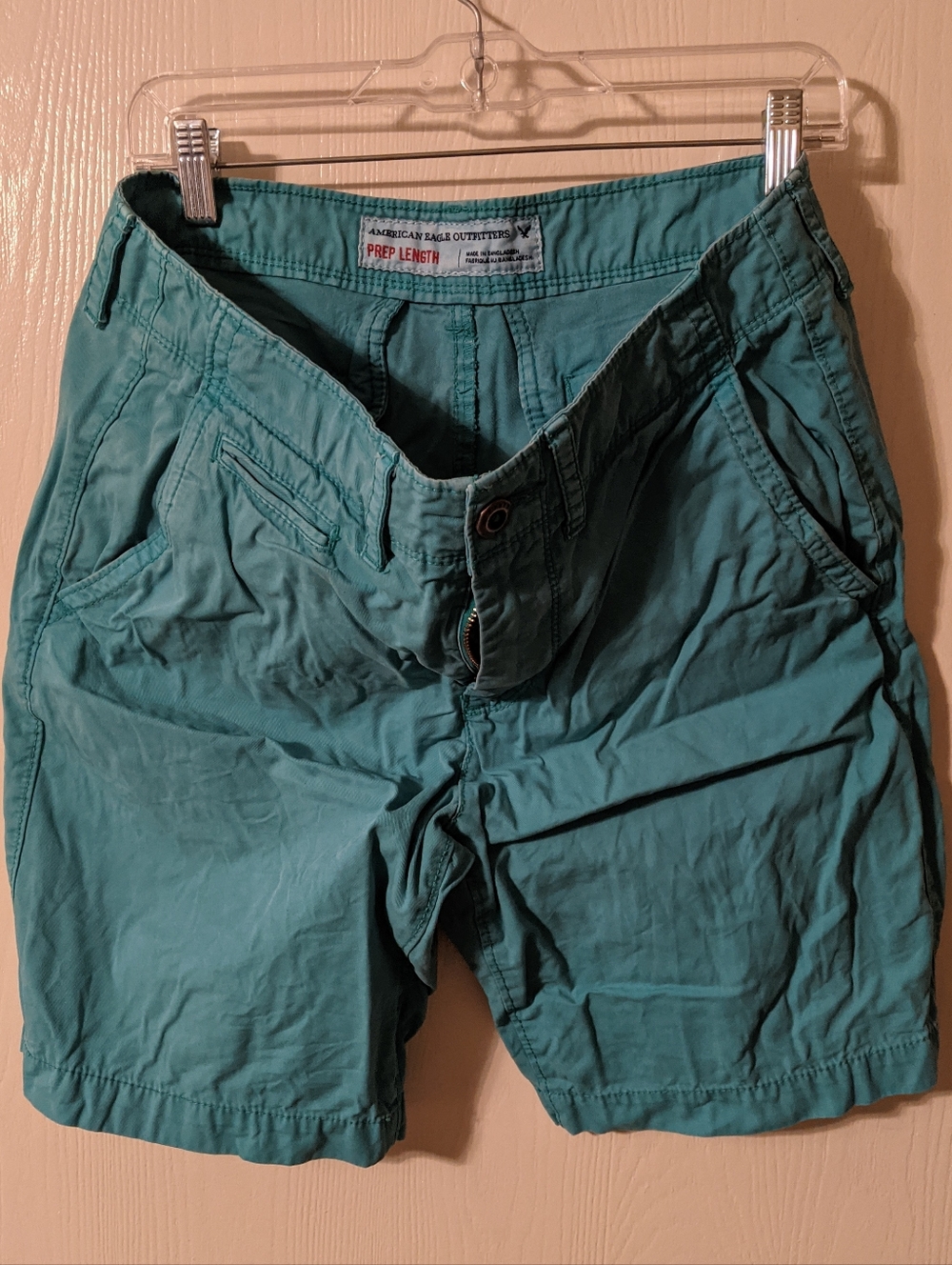 American Eagle Outfitters Men’s Teal Flat-Front Casual Shorts